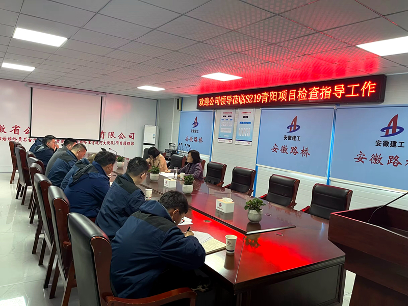 公司黨委委員、紀委書記王鵬到S219青陽改建項目調(diào)研指導工作